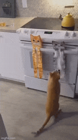 Просто гифки, всякие и&nbsp;разные