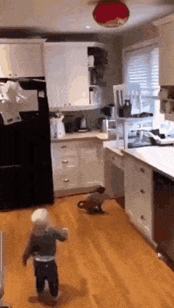 Просто гифки, всякие и&nbsp;разные