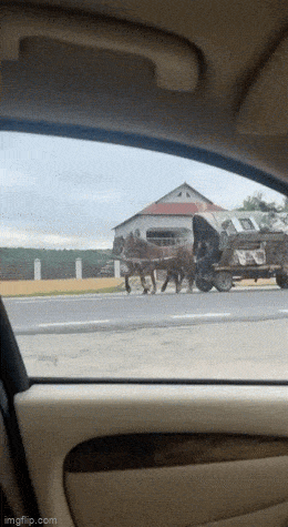 Просто гифки, всякие и&nbsp;разные