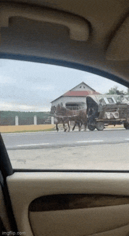 Просто гифки, всякие и&nbsp;разные