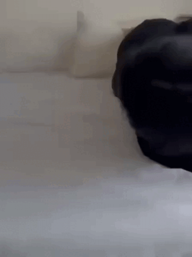 Просто гифки, всякие и&nbsp;разные