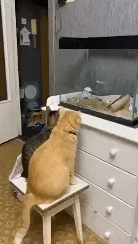 Просто гифки, всякие и&nbsp;разные