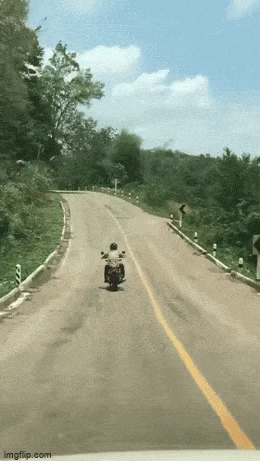 Просто гифки, всякие и&nbsp;разные