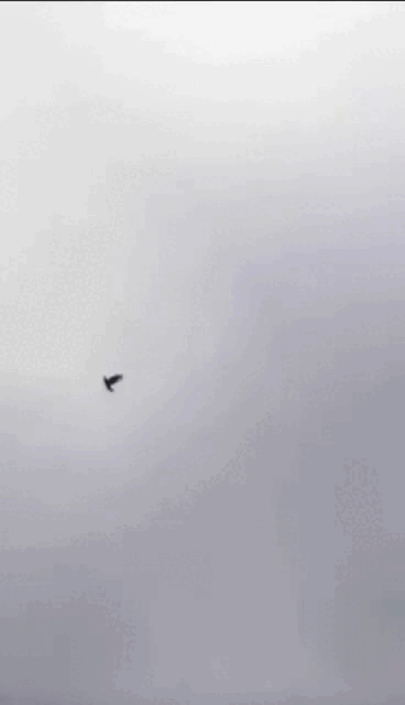 Просто гифки, всякие и&nbsp;разные