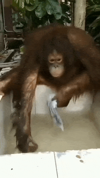 Просто гифки, всякие и&nbsp;разные