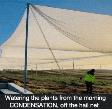 Просто гифки, всякие и&nbsp;разные