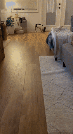 Просто гифки, всякие и&nbsp;разные