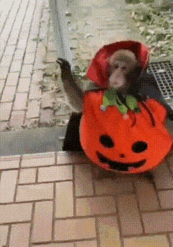 Просто гифки, всякие и&nbsp;разные