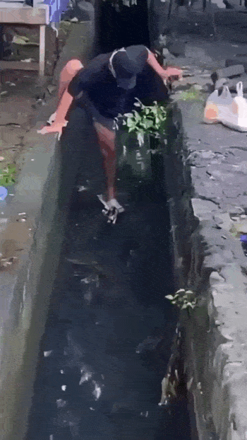 Просто гифки, всякие и&nbsp;разные