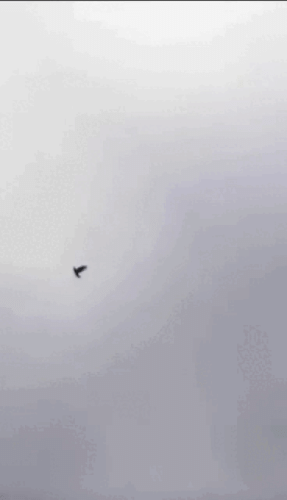 Просто гифки, всякие и&nbsp;разные