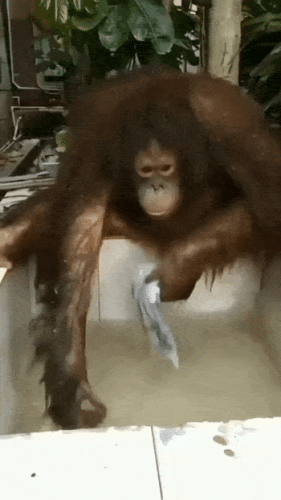 Просто гифки, всякие и&nbsp;разные