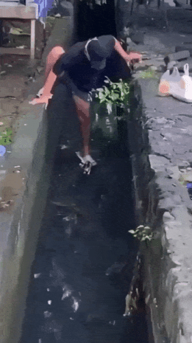 Просто гифки, всякие и&nbsp;разные