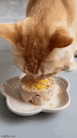 Просто гифки, всякие и&nbsp;разные