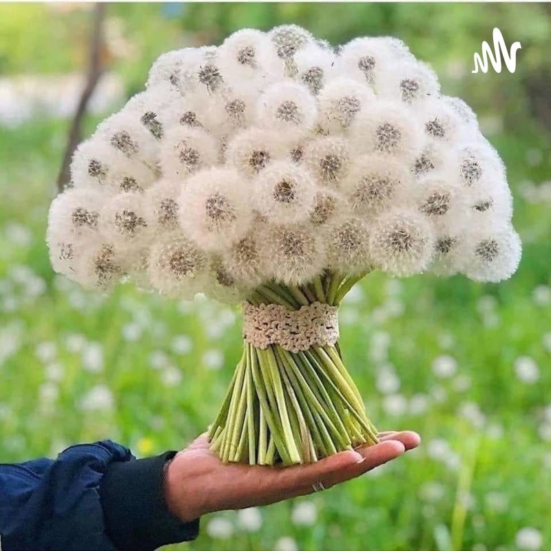 1. Хрупкая красота