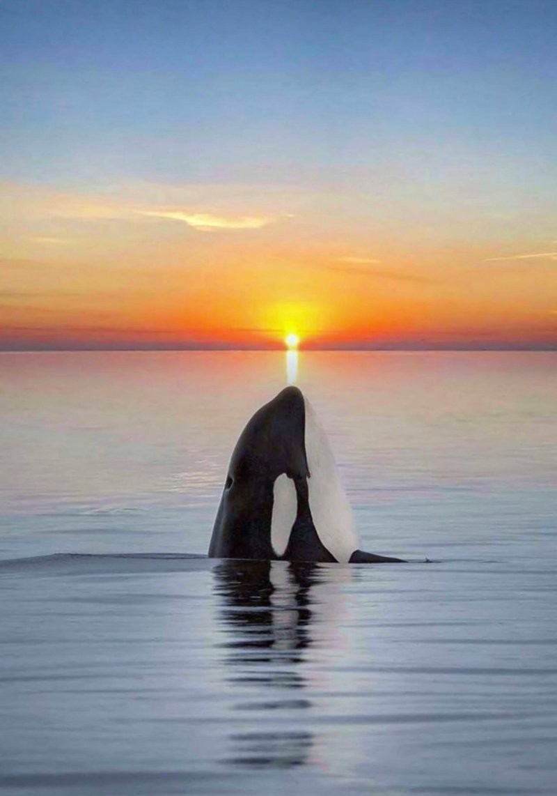 9. Остановись, мгновение