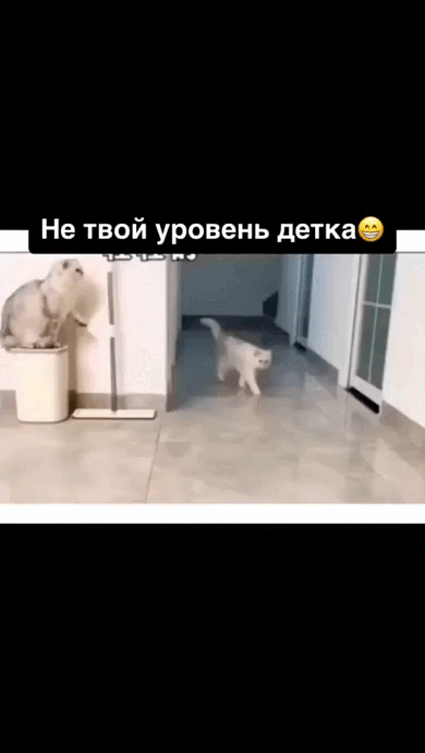 Просто гифки, всякие и&nbsp;разные