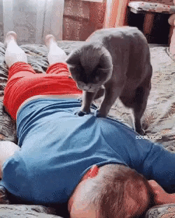 Просто гифки, всякие и&nbsp;разные