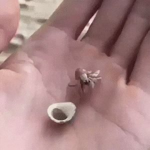 Просто гифки, всякие и&nbsp;разные