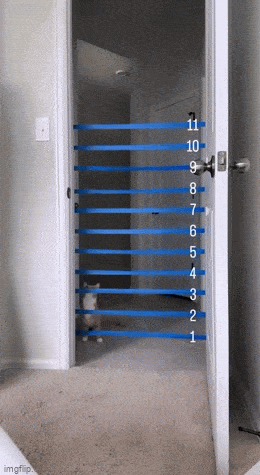 Просто гифки, всякие и&nbsp;разные