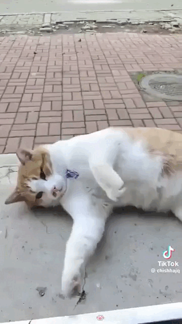 Просто гифки, всякие и&nbsp;разные