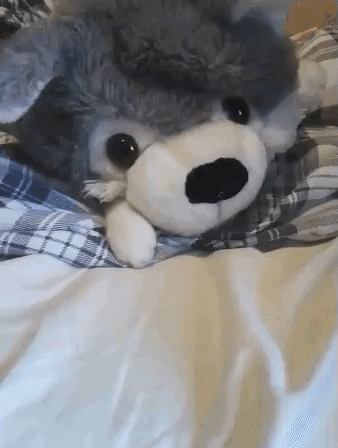 Просто гифки, всякие и&nbsp;разные