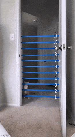 Просто гифки, всякие и&nbsp;разные