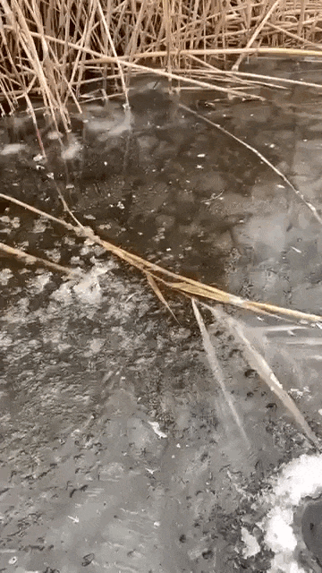 Просто гифки, всякие и разные