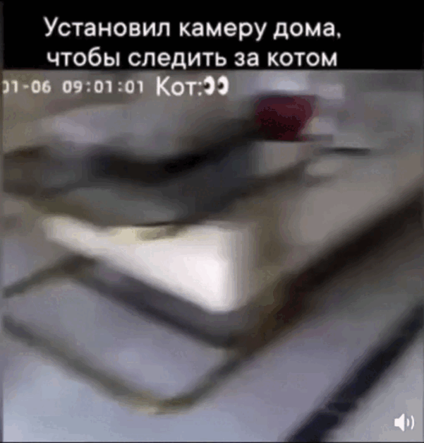 Просто гифки, всякие и разные