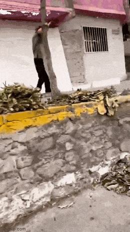 Просто гифки, всякие и разные