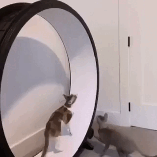 Просто гифки, всякие и разные