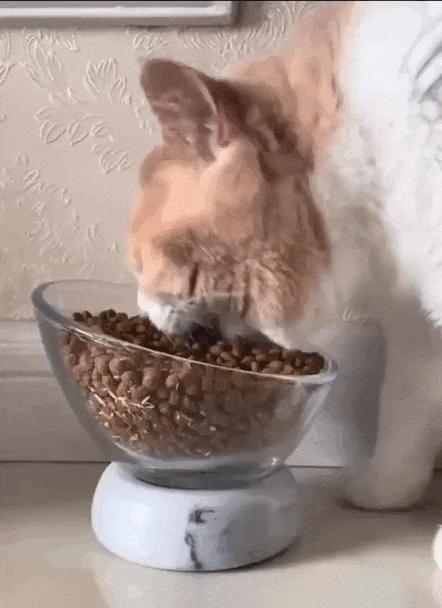 Просто гифки, всякие и разные