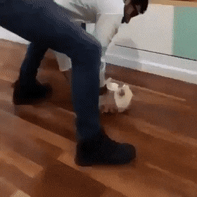 Просто гифки, всякие и разные