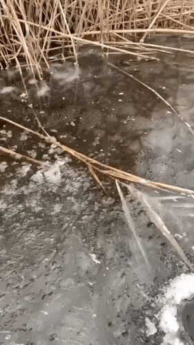 Просто гифки, всякие и разные