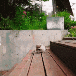 Просто гифки, всякие и разные