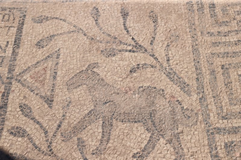 Христианская мозаика 1500-летней давности открывает забытые библейские тайны