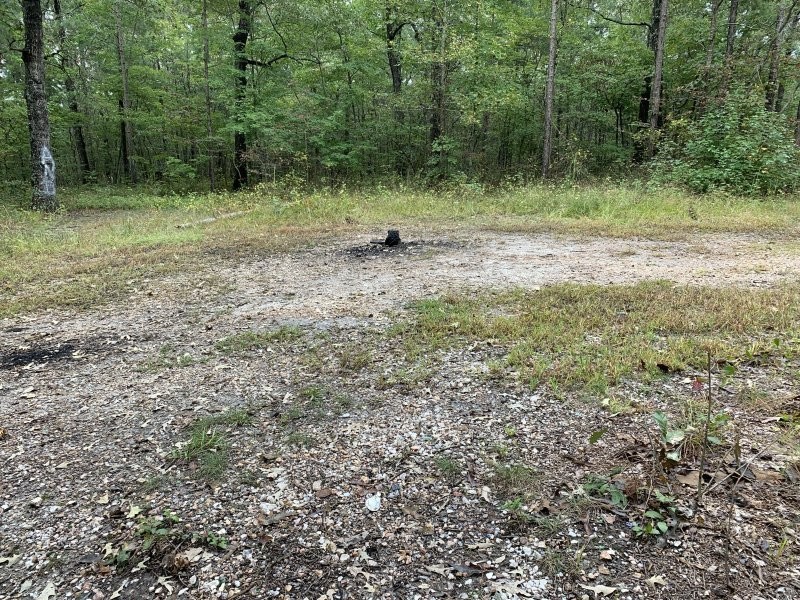 Тропа Дьявола: научные факты и леденящие душу легенды о загадочном месте Северной Каролины