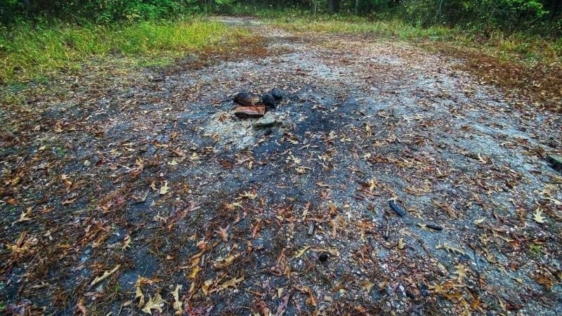 Тропа Дьявола: научные факты и леденящие душу легенды о загадочном месте Северной Каролины