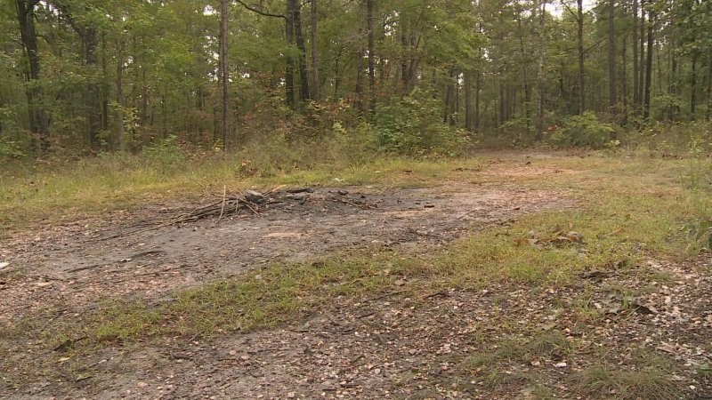 Тропа Дьявола: научные факты и леденящие душу легенды о загадочном месте Северной Каролины