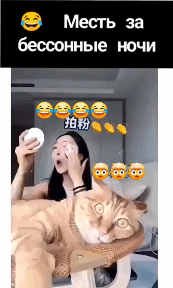 Просто гифки, всякие и&nbsp;разные