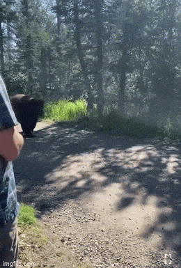 Просто гифки, всякие и&nbsp;разные