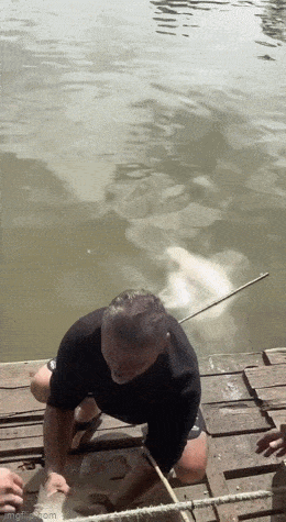 Просто гифки, всякие и&nbsp;разные