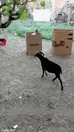 Просто гифки, всякие и&nbsp;разные