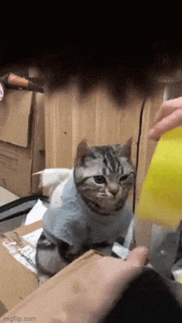 Просто гифки, всякие и&nbsp;разные