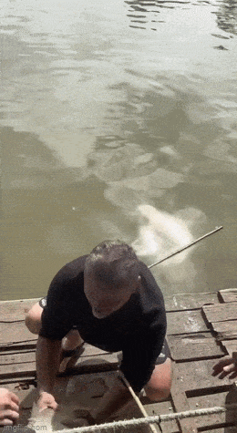 Просто гифки, всякие и&nbsp;разные