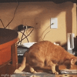 Просто гифки, всякие и&nbsp;разные