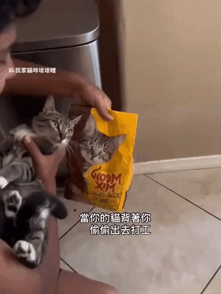 Просто гифки, всякие и&nbsp;разные