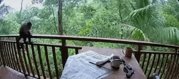 Просто гифки, всякие и&nbsp;разные