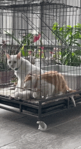 Просто гифки, всякие и&nbsp;разные