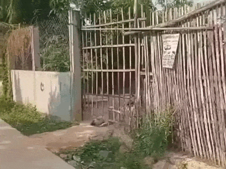 Просто гифки, всякие и&nbsp;разные