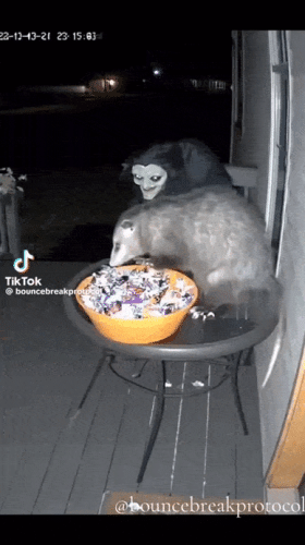 Просто гифки, всякие и&nbsp;разные